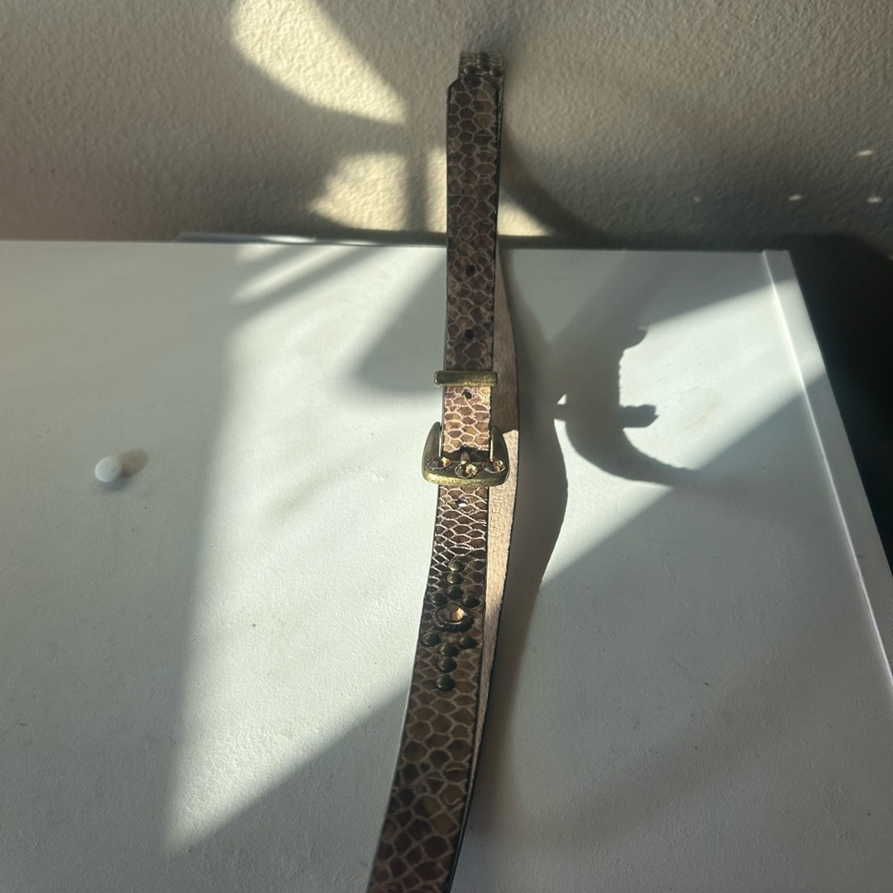 Cache Reptile Brown Textured Belt